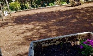 Photo de galerie - Jardinier