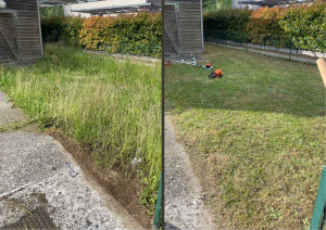 Photo de galerie - Jardinier