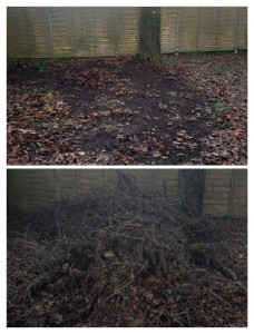 Photo de galerie - Enlèvement de déchets verts 