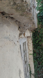 Photo de galerie - Intervention nids de guepes??