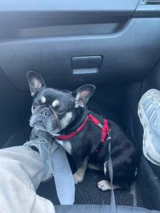 Photo de galerie - Kiki 