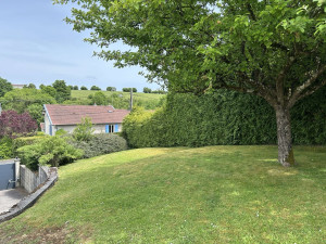 Photo de galerie - Tonte de jardin 