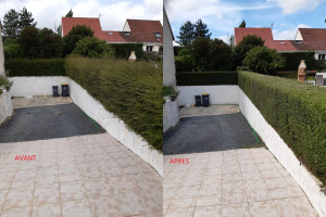Photo de galerie - Taille de haie