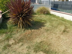 Photo de galerie - .