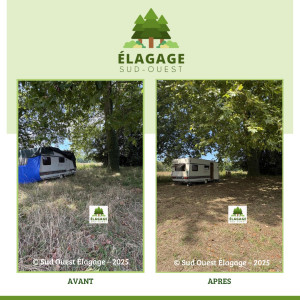 Photo de galerie - Tonte de pelouse - Débroussaillage