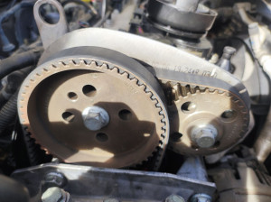 Photo de galerie - Distribution 1.2