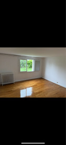Photo de galerie - Peinture mur et plafond, pose de parquet 