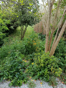 Photo de galerie - Avant 