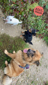 Photo de galerie - Mes filles et leur copain ??