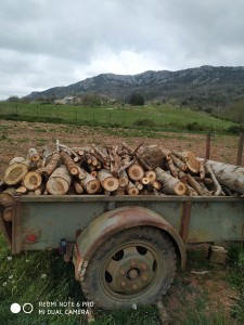 Photo réalisation - Elagage et coupe d'arbres - Thomas (LES JARDINS DU PLATEAU) - Millas : Bois de chauffage 