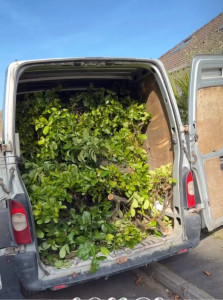 Photo de galerie - Mission jardin accomplie 