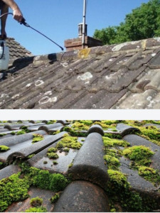 Photo de galerie - Couverture - Toiture