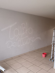 Photo de galerie - Rénovation duplex 