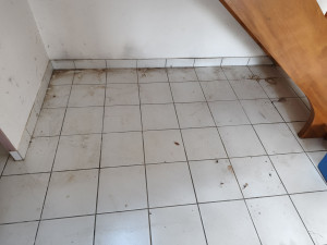 Photo de galerie - Avant