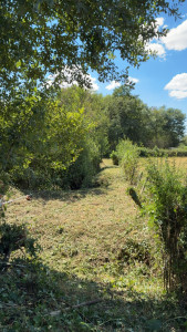 Photo de galerie - Jardin / Espace vert