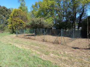 Photo de galerie - Tonte de pelouse - Débroussaillage