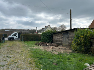 Photo de galerie - Elagage et coupe d'arbres
