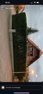 Photo de galerie - Taille de haies 