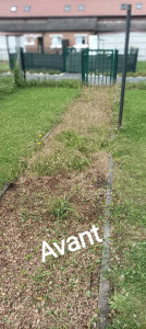 Photo de galerie - Deserbage dans des cailloux 