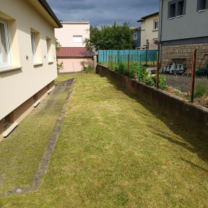 Photo de galerie - Tonte de pelouse - Débroussaillage