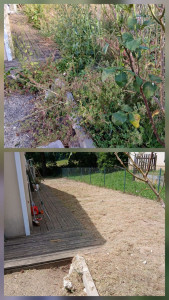 Photo de galerie - Remise en état d'un jardin ?