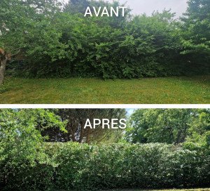 Photo de galerie - Coupe de haie