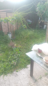 Photo de galerie - JARDINAVANT TONTEE
