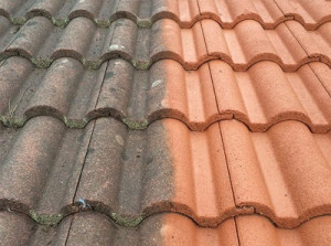 Photo de galerie - Couverture - Toiture