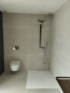 Photo de galerie - Réalisation d'un WC suspendu et d'une douche 