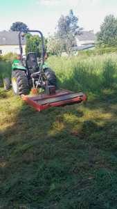 Photo de galerie - Tonte de pelouse - Débroussaillage