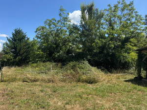 Photo de galerie - Tonte de pelouse - Débroussaillage