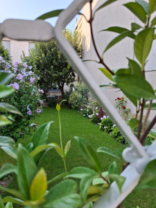 Photo de galerie - Paysagiste - Aménagement du jardin