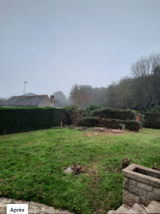 Photo de galerie - Après abattage du sapin et du boulot