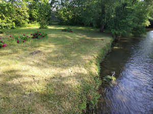 Photo de galerie - Nettoyage de bordures de rivière chez un particulier à Sermaize-les-Bains 