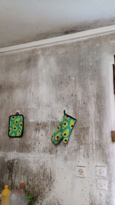 Photo de galerie - Peinture - Tapisserie