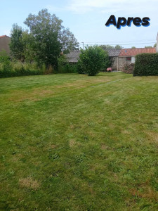 Photo de galerie - Tonte de PELOUSE 