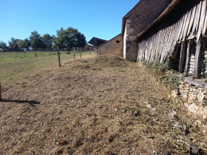 Photo de galerie - Après débroussaillage  