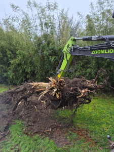 Photo de galerie - Terrassement et enlèvement de souche 