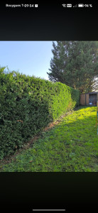 Photo de galerie - Jardinier