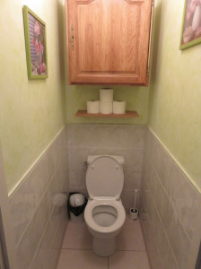 Photo de galerie - Nettoyage des sanitaires (meubles, faïences, poubelles, brosses, abattant et wc intégral, porte, poignée...)
