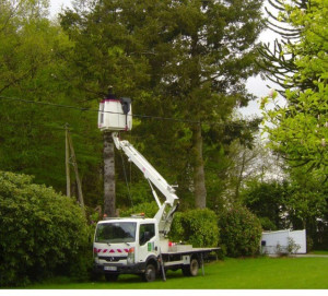 Photo de galerie - Prestations 