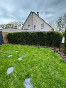 Photo de galerie - Taille de haie