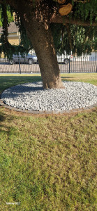 Photo de galerie - Paysagiste - Aménagement du jardin