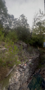 Photo de galerie - Tonte de pelouse - Débroussaillage