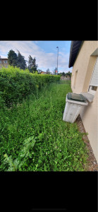 Photo de galerie - Tonte de pelouse - Débroussaillage