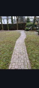 Photo de galerie - Fauchage tonte en ramassage 