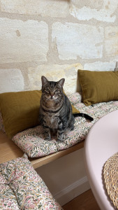 Photo de galerie - César 12 ans