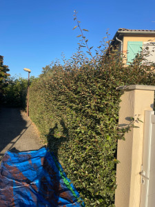 Photo de galerie - Avant 