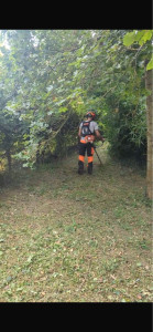 Photo de galerie - Débroussaillage 