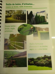 Photo de galerie - Taille de haies et d'arbustes